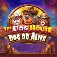 the_dog_house